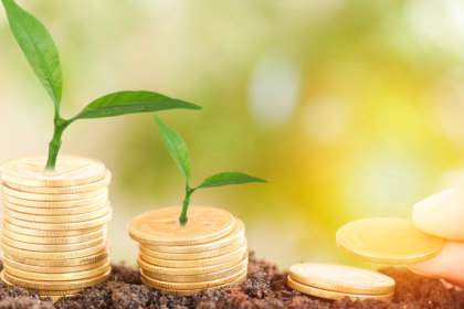 Fernando Trabach Filho