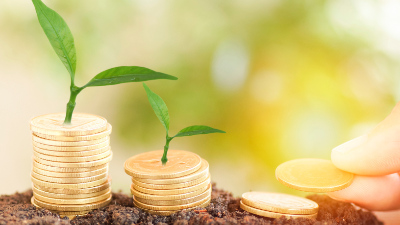 Fernando Trabach Filho