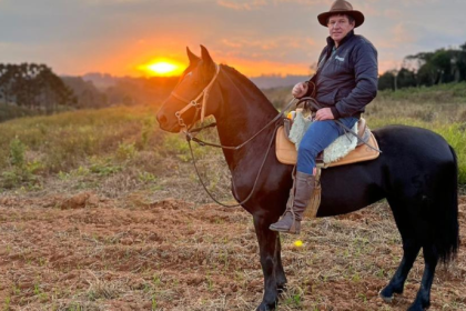 Altevir Seidel apresenta as etapas essenciais e técnicas fundamentais para o treinamento de cavalos de hipismo.