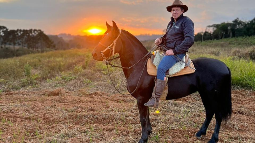 Altevir Seidel apresenta as etapas essenciais e técnicas fundamentais para o treinamento de cavalos de hipismo.