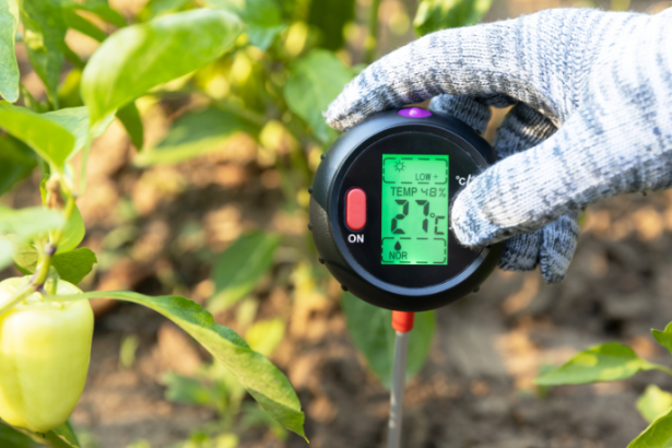 Gustavo Morceli evidencia como a integração de sensores climáticos fortalece a prevenção de desastres em escolas.