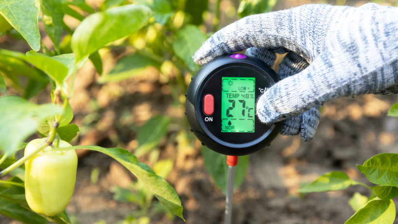 Gustavo Morceli evidencia como a integração de sensores climáticos fortalece a prevenção de desastres em escolas.